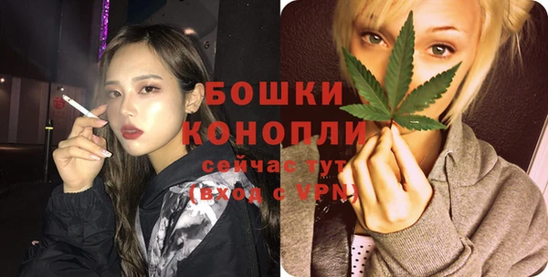 PSILOCYBIN Абаза