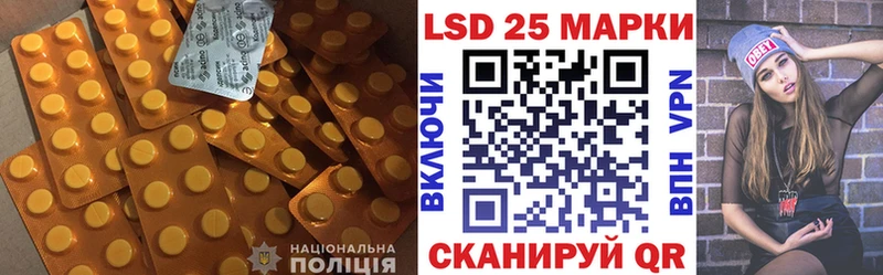 даркнет наркотические препараты  Шахунья  Лсд 25 экстази ecstasy 