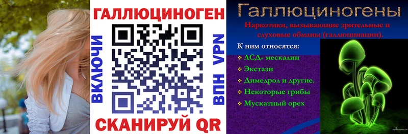 купить наркотики сайты  Шахунья  Псилоцибиновые грибы Psilocybe 